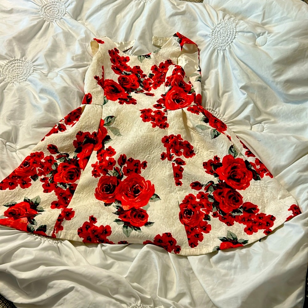 Children’s Place Party Dress - White w/Red Roses, size 12